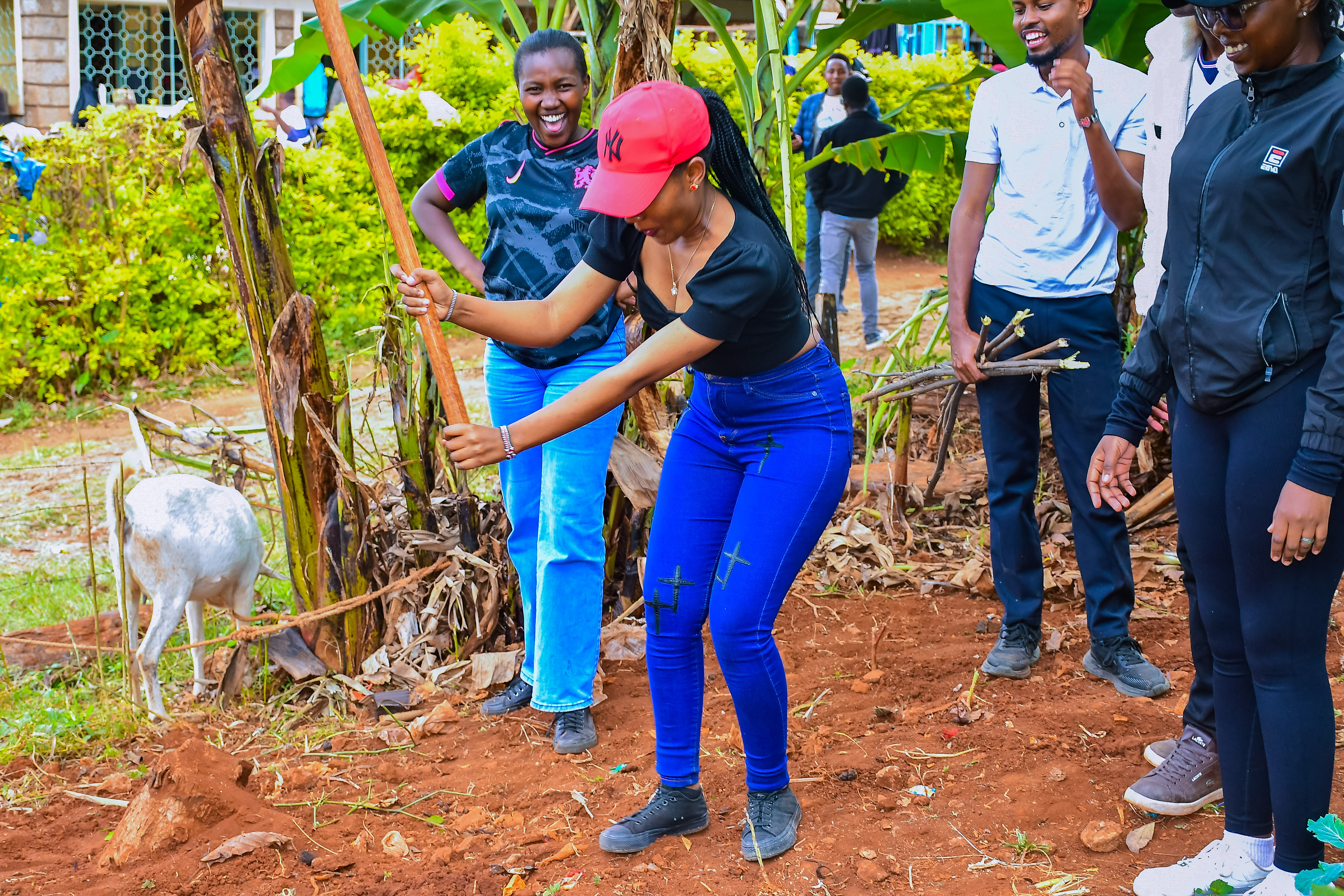 Mentorship & Engagement — moment 2